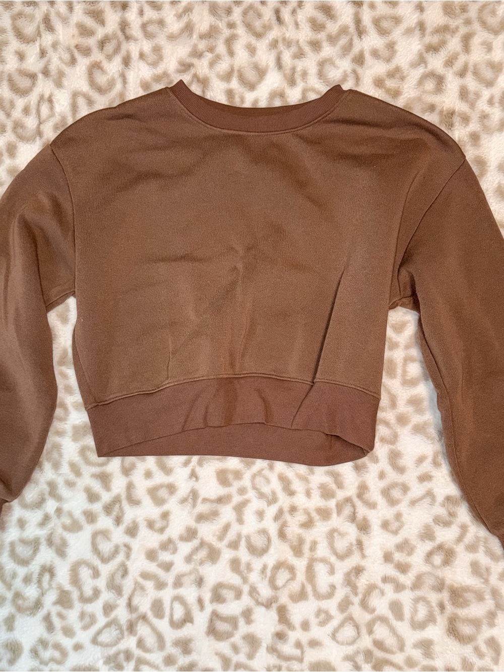 Ambiance Brown Cropped Crewneck Sweatshirt
